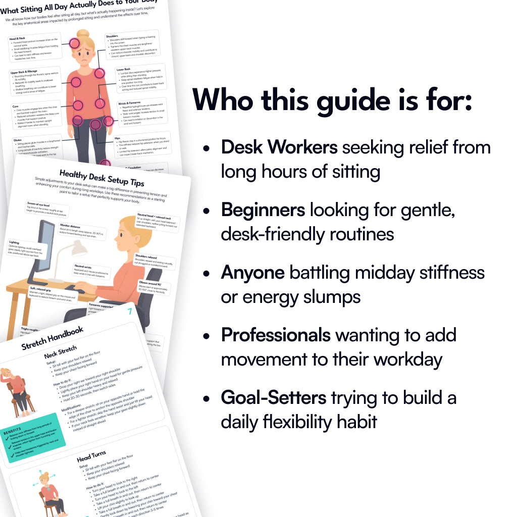 Seated Stretching Guide for Desk Workers