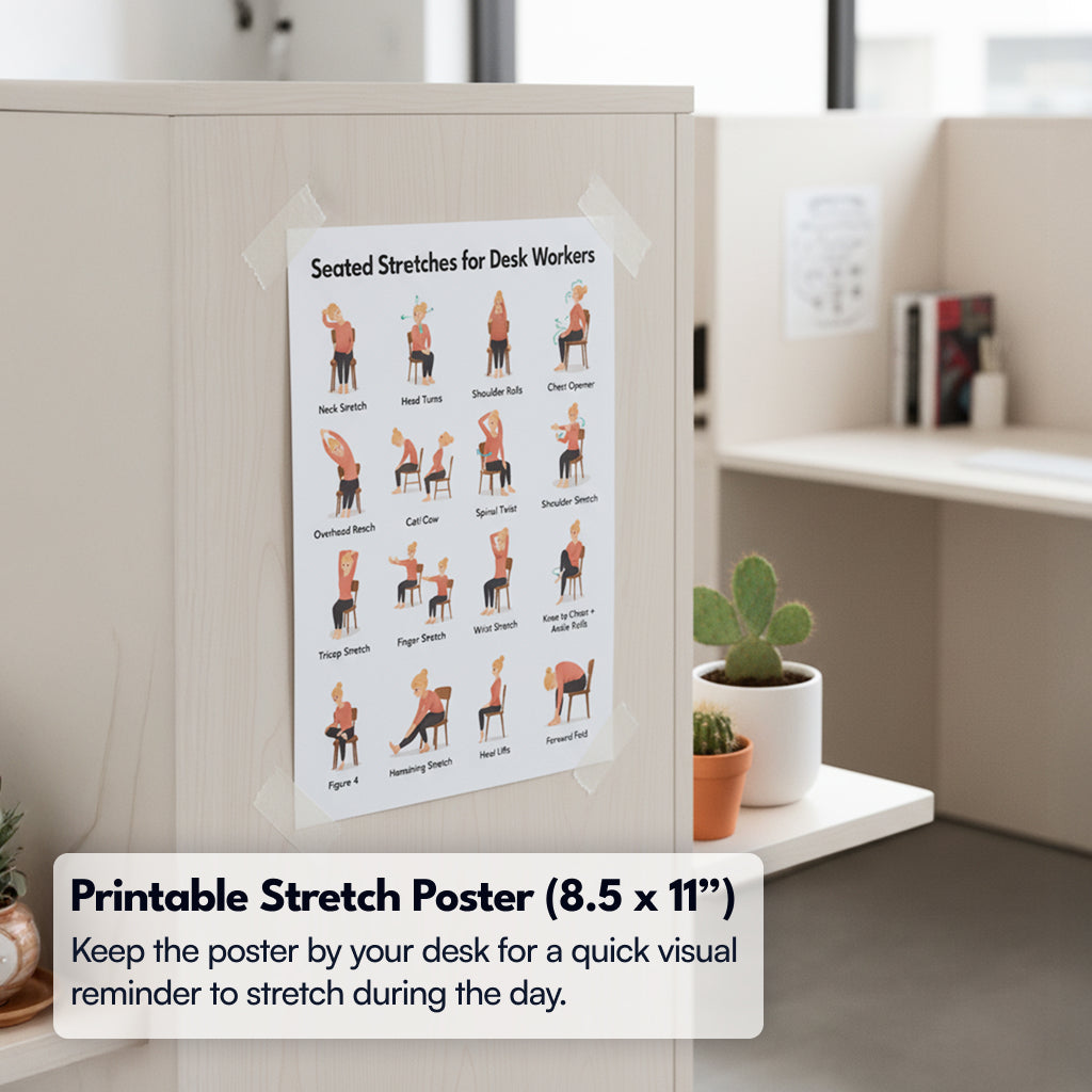 Seated Stretching Guide for Desk Workers