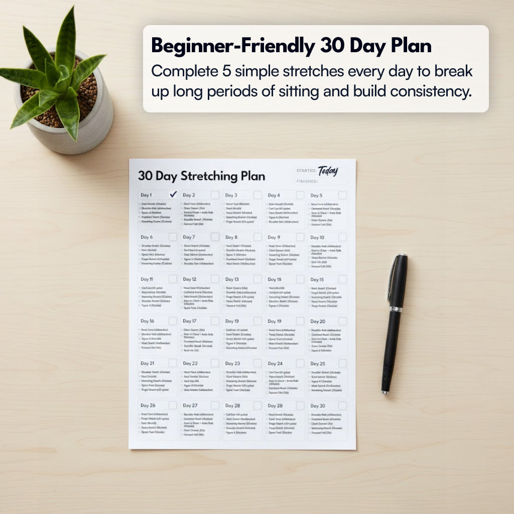 Seated Stretching Guide for Desk Workers
