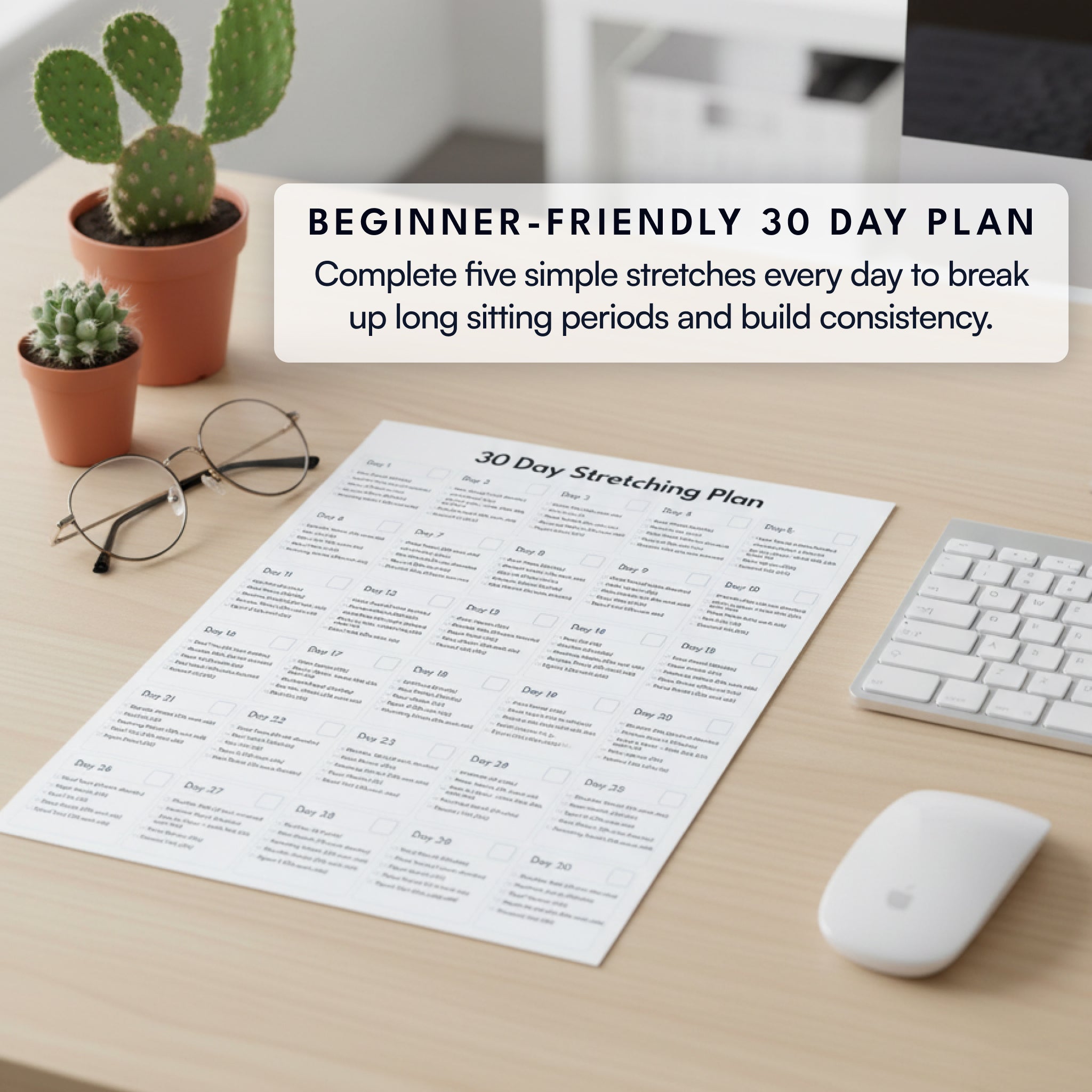 Beginner-friendly 30 day seated stretching plan for desk workers