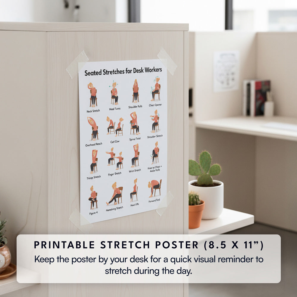 Printable desk stretches poster for office workers with beginner-friendly seated stretches you can do while sitting at your desk
